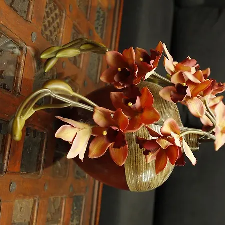 Hotel Art Neckar Neckargemünd