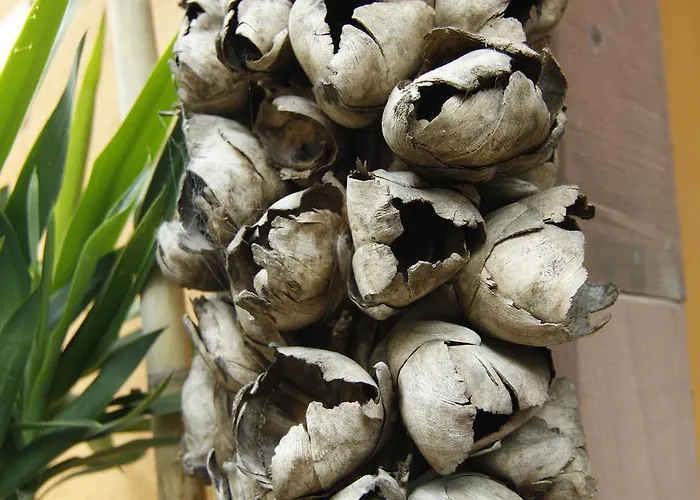 Art Neckar Neckargemünd